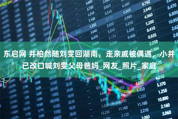 东启网 井柏然随刘雯回湖南，走亲戚被偶遇，小井已改口喊刘雯父母爸妈_网友_照片_家庭