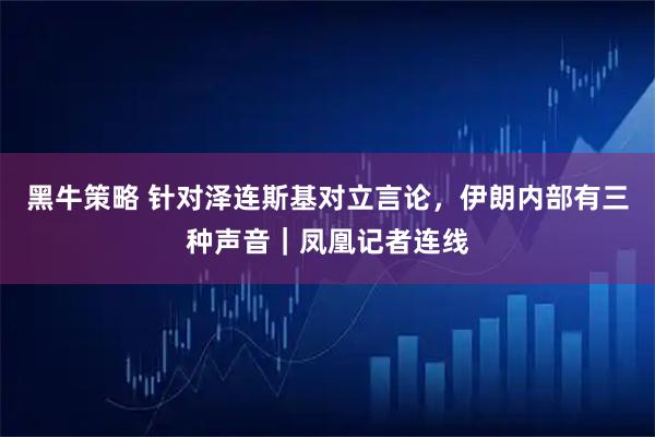 黑牛策略 针对泽连斯基对立言论,伊朗内部有三种声音|凤凰记者连线