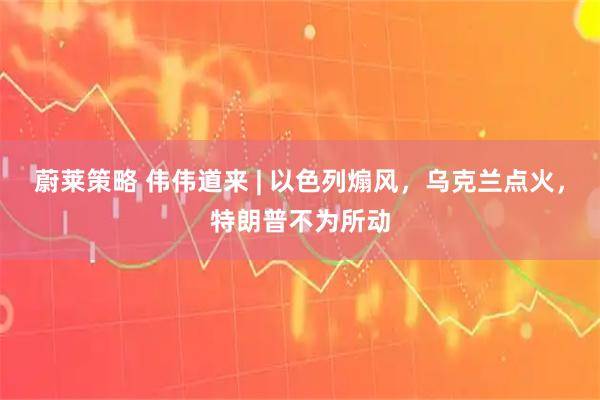 蔚莱策略 伟伟道来 | 以色列煽风，乌克兰点火，特朗普不为所动