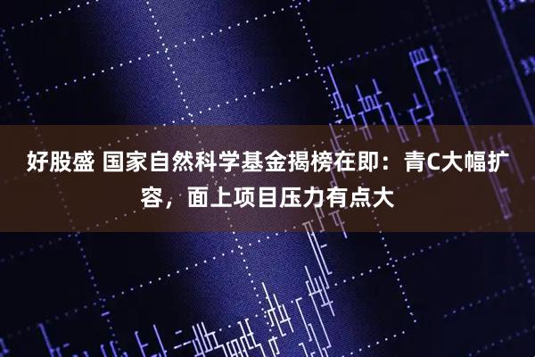 好股盛 国家自然科学基金揭榜在即：青C大幅扩容，面上项目压力有点大